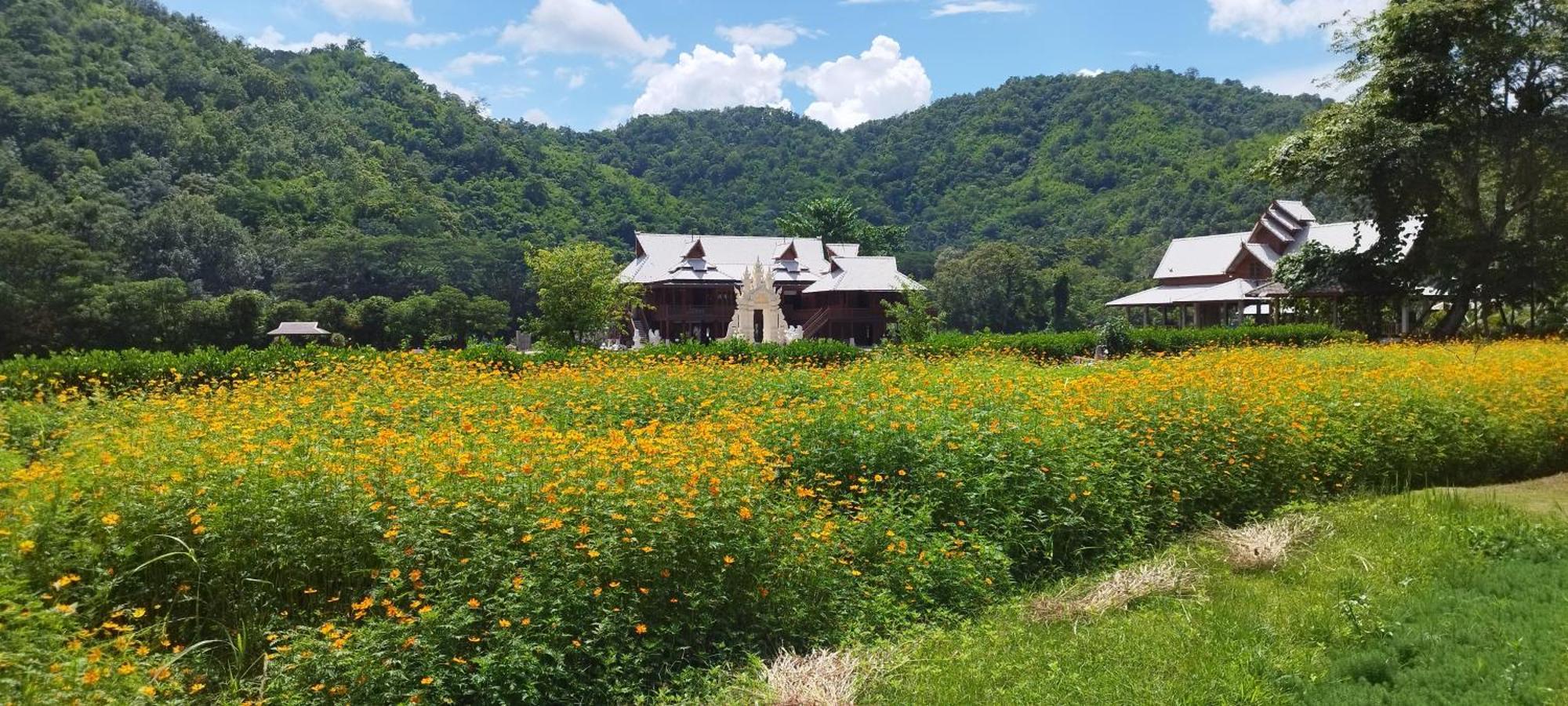 La Villa De Madame Su เชียงใหม่ ภายนอก รูปภาพ