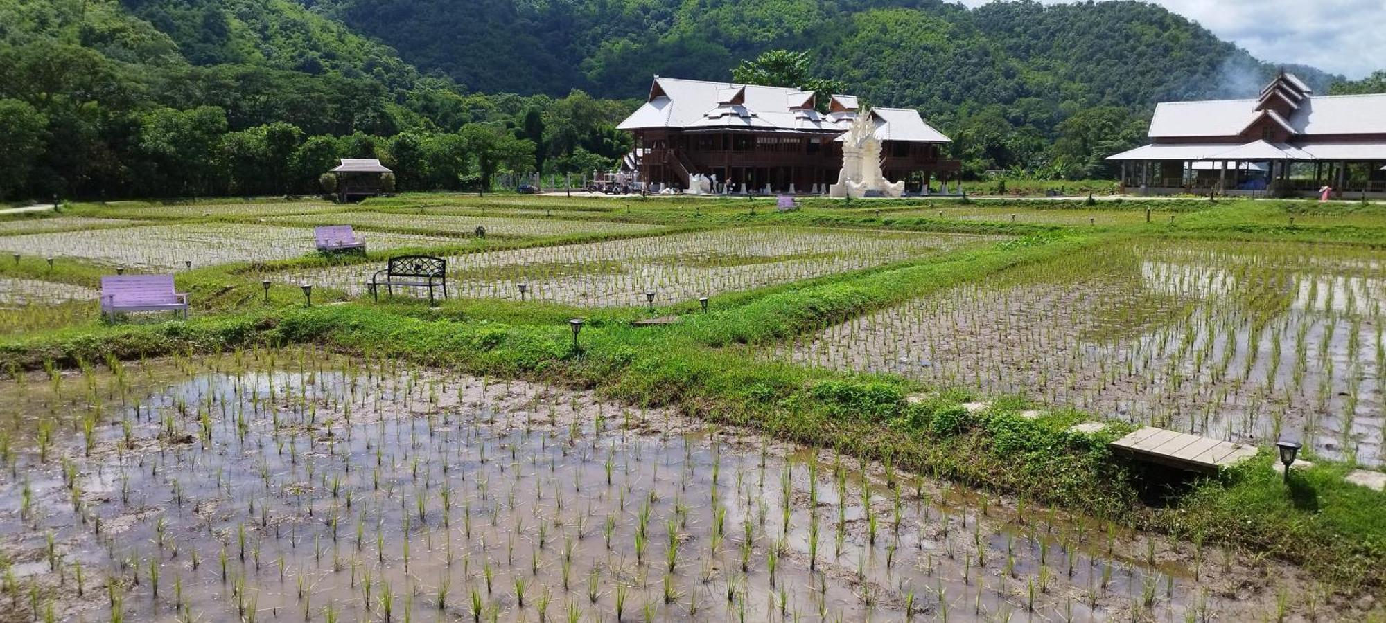 La Villa De Madame Su เชียงใหม่ ภายนอก รูปภาพ